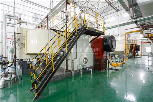 昌都80T燃油鍋爐