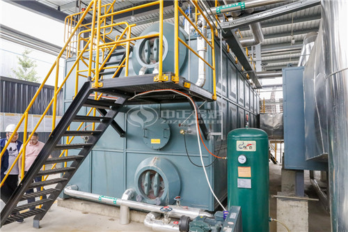 湛江二十五噸燃油鍋爐