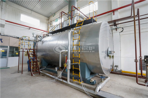 麗江6噸燃油鍋爐