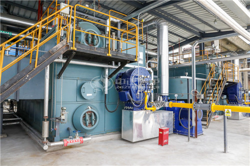 楚雄60T燃油鍋爐