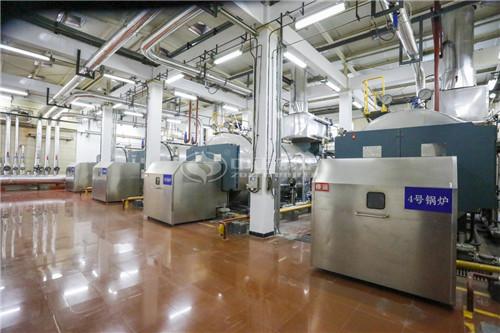 貴州20噸燃油鍋爐