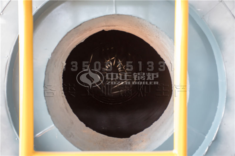 中正環保節能導熱油鍋爐
